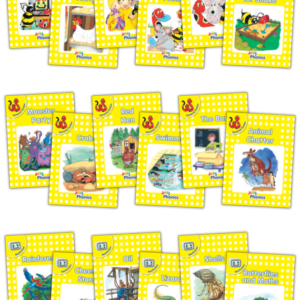 Jolly Phonics Readers Level 2 Complete Set