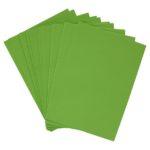 A4 160gsm Card 50 Sheets - Parrot