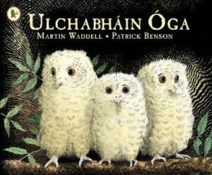 Ulchabhain Oga Owl Babies