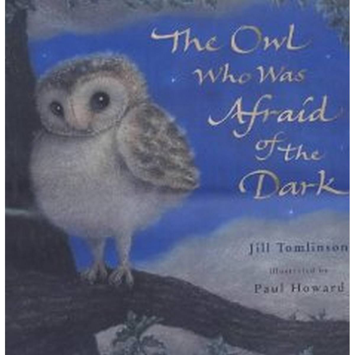 The Owl Who was afraid of the Dark (Picture Book)
