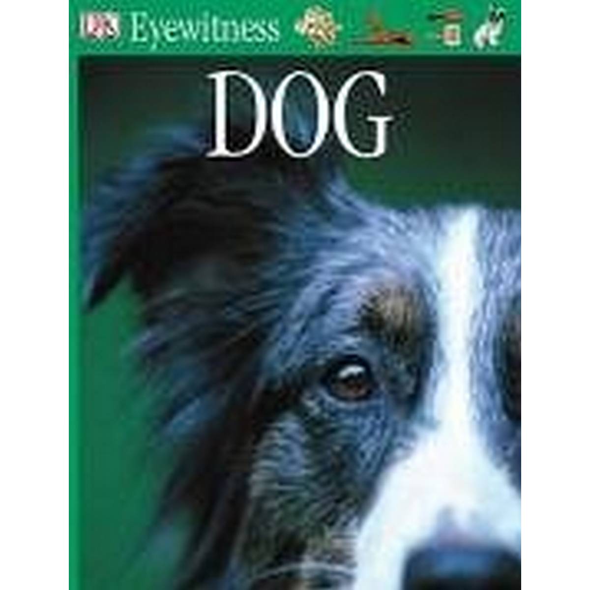 Dog (Eyewitness Paperback)