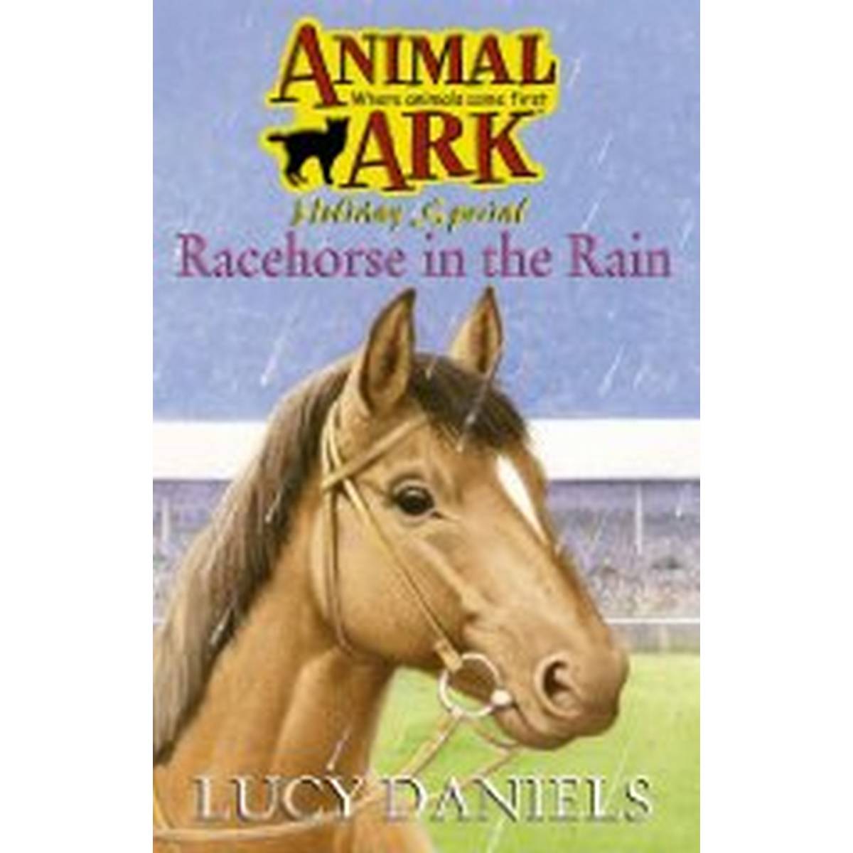 Racehorse in the Rain (Animal Ark)