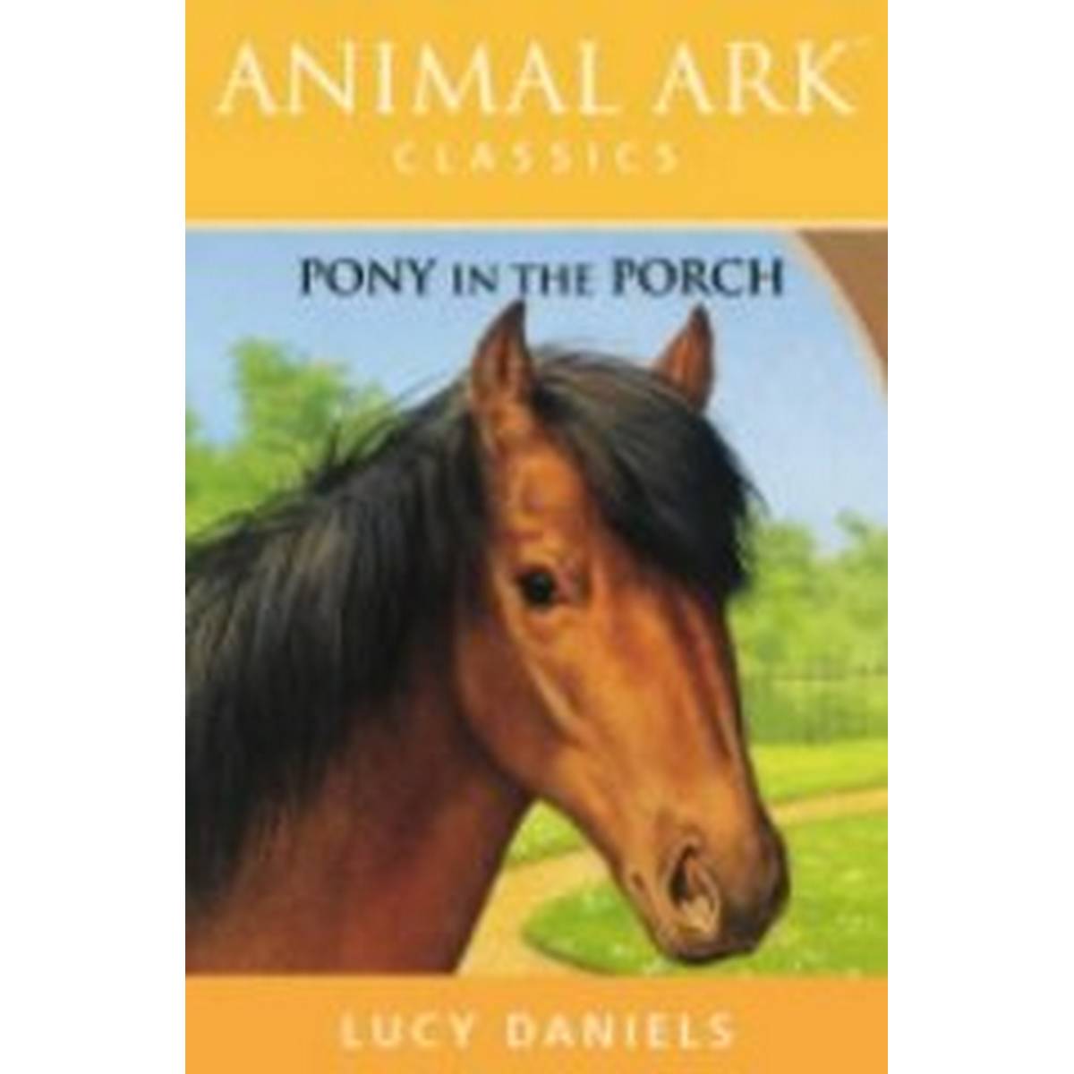 Pony in the Porch (Animal Ark)