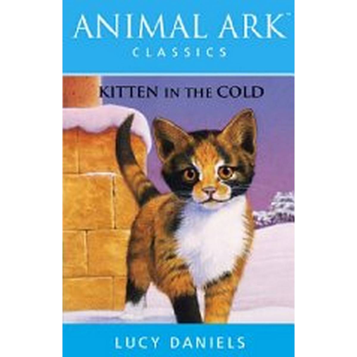 Kitten in the Cold (Animal Ark)