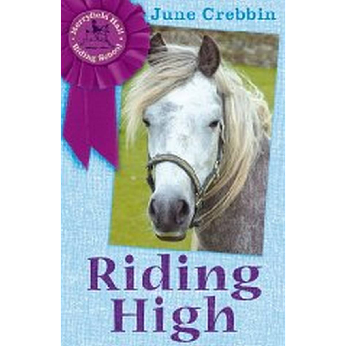 Riding High (Merryfield Hall Riding School)