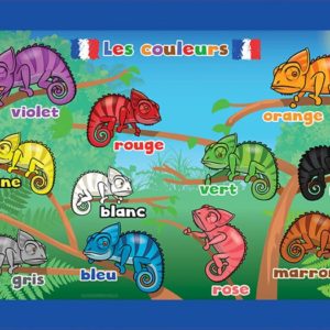 French Language Colours
