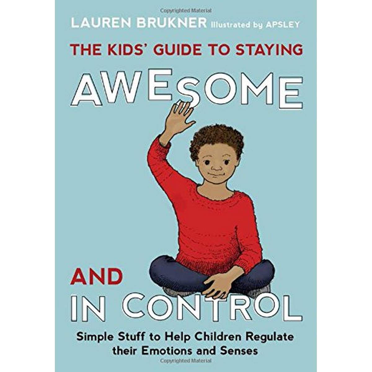 The Kids' Guide to Staying Awesome and In Control