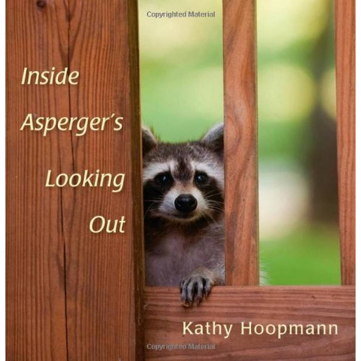 Inside Asperger's Looking Out