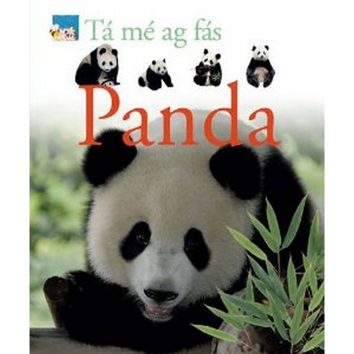 Ta Me Ag Fas: Panda