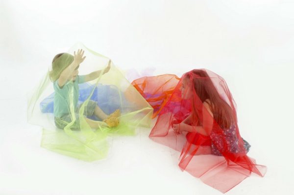 Organza Rainbow Pack - Pack of 7