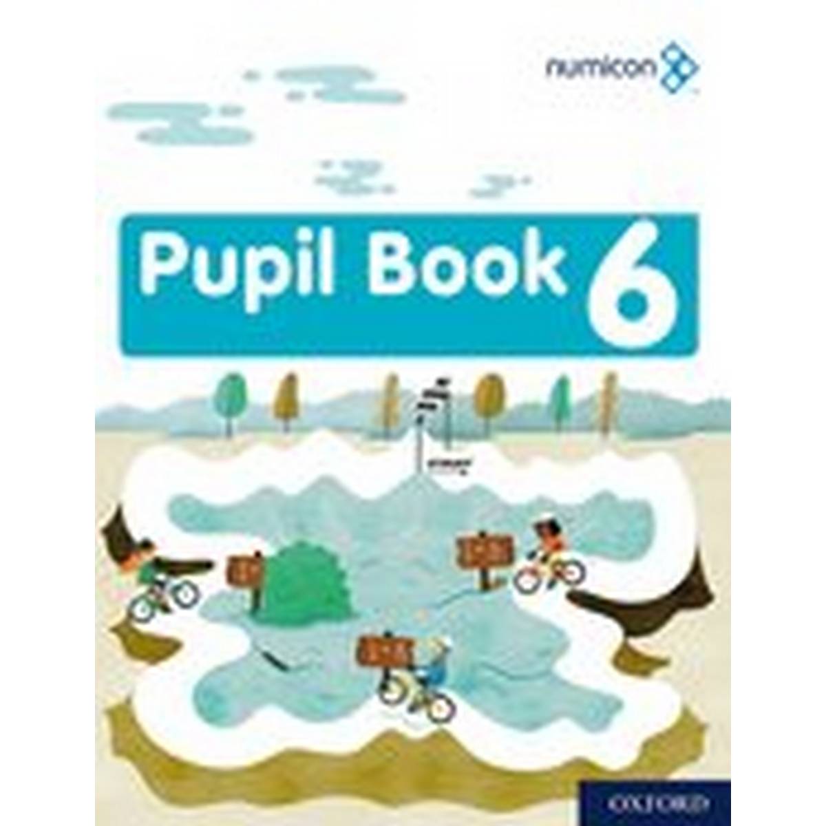 Numicon Pupil Book 6: Pack of 15