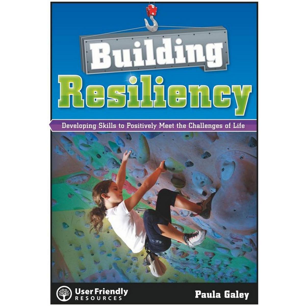 Building Resilience: Developing Skills to Positively Meet the Challenges of Life