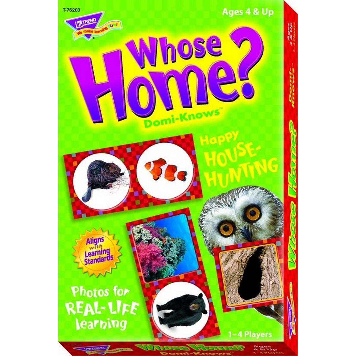 Domi-Knows Whose Home? Children's Game