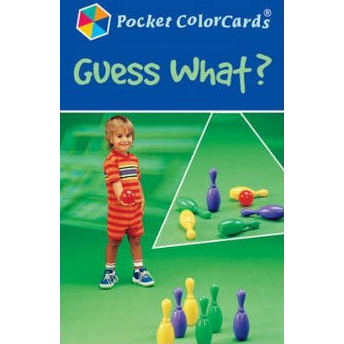 Pocket ColorCards: Guess What?
