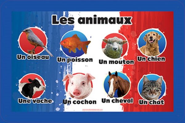 French Language Animals