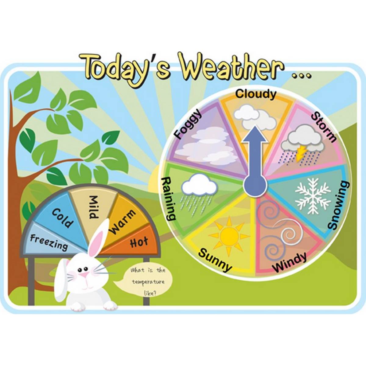 Today's Weather Board