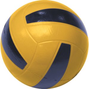 Skin-Coated Volleyball