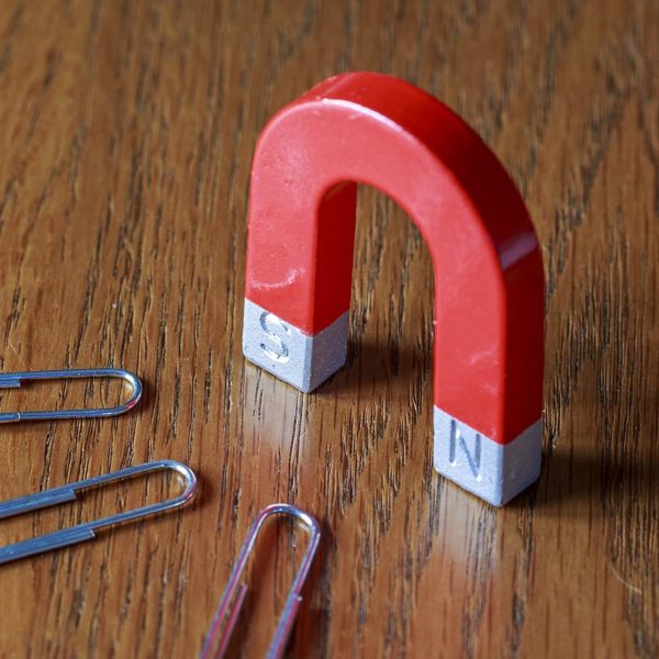Mini Horseshoe Magnet