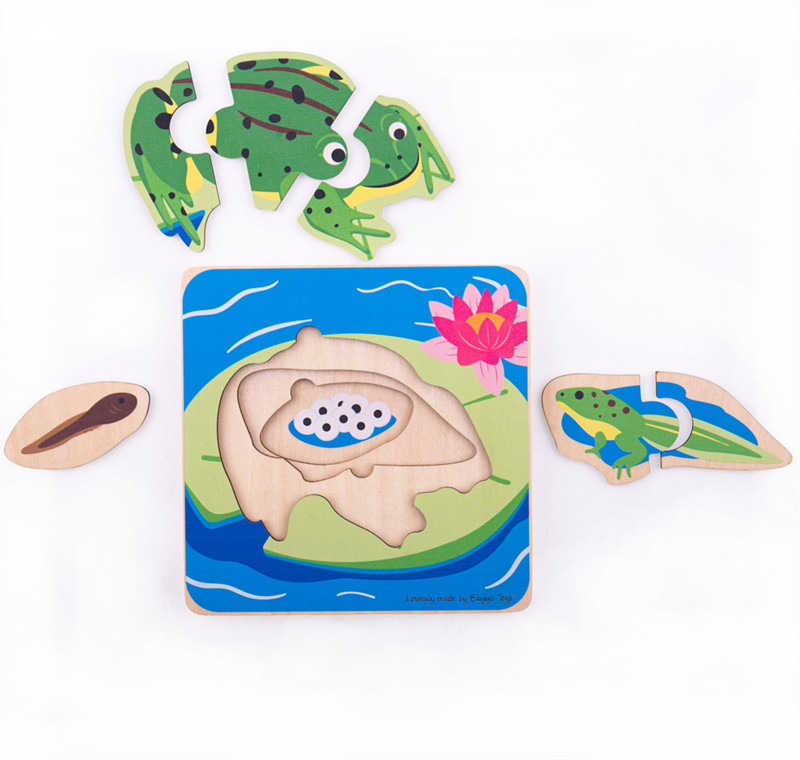Lifecycle Layer Puzzle – Frog – ABC School Supplies