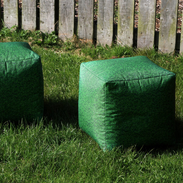 Pack Of 2 Learn About Nature Grass Bean Bag Cubes