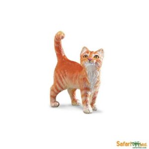 Safari Tabby Cat